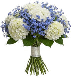 Bouquet of Hydrangea and Forget Me Not - Flowers Box London