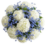 Bouquet of Hydrangea and Forget Me Not