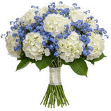 Bouquet of Hydrangea and Forget Me Not