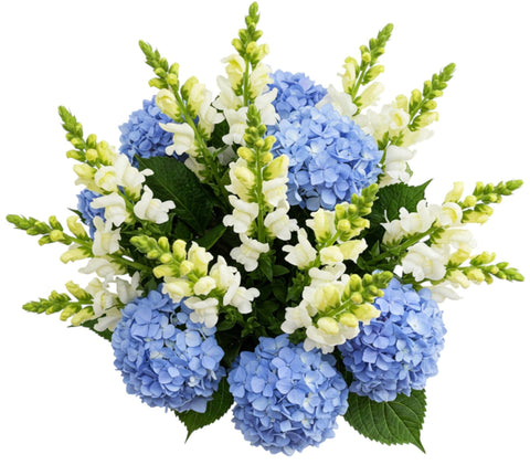 Bouquet of Hydrangea with White Snapdragons - Flowers Box London