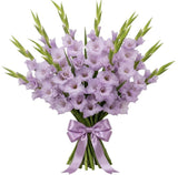 Bouquet of Lavender Gladioli - Flowers Box London
