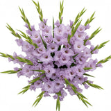 Bouquet of Lavender Gladioli - Flowers Box London