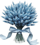 Bouquet of Light Blue Lagurus - Flowers Box London