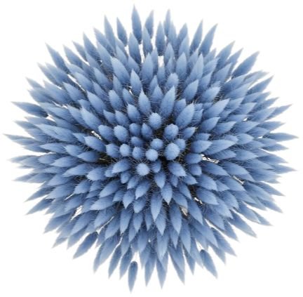 Bouquet of Light Blue Lagurus - Flowers Box London
