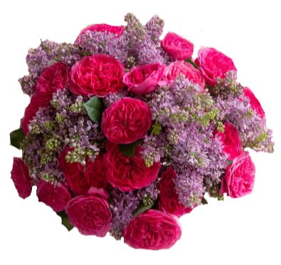 Bouquet of Lilac and Garden Spray Roses