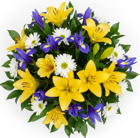 Bouquet of Lily and Blue Iris with Daisy Leucanthemum