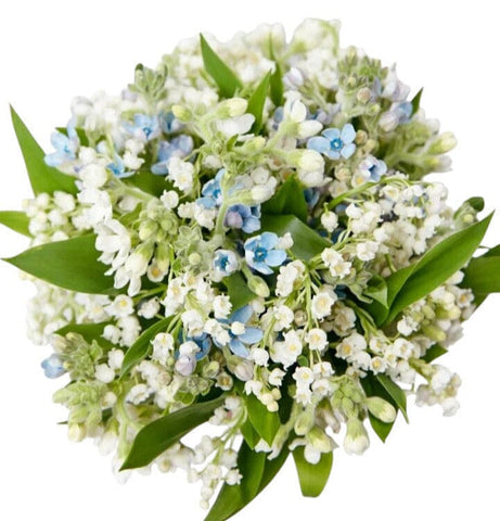 Bouquet of Lily of the Valley and Oxypetalum - Flowers Box London