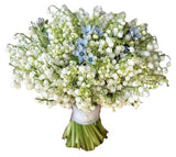 Bouquet of Lily of the Valley and Oxypetalum