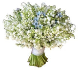 Bouquet of Lily of the Valley and Oxypetalum - Flowers Box London