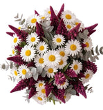 Bouquet of Lupinus and Daisy Leucanthemum - Flowers Box London