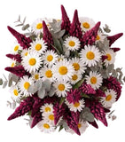 Bouquet of Lupinus and Daisy Leucanthemum - Flowers Box London