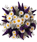 Bouquet of Lupinus and Daisy Leucanthemum - Flowers Box London