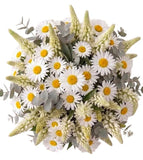Bouquet of Lupinus and Daisy Leucanthemum - Flowers Box London
