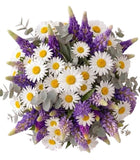 Bouquet of Lupinus and Daisy Leucanthemum - Flowers Box London