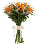 Bouquet of Luxury Birds of Paradise Flowers