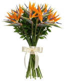 Bouquet of Luxury Birds of Paradise Flowers
