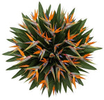Bouquet of Luxury Birds of Paradise Flowers