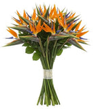 Bouquet of Luxury Birds of Paradise Flowers