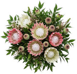 Bouquet of Luxury Protea with Papaver Seedhead