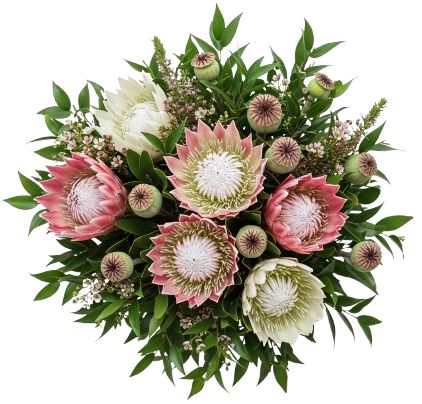 Bouquet of Luxury Protea with Papaver Seedhead