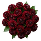 Bouquet of Luxury Red Dahlia - Flowers Box London