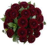Bouquet of Luxury Red Dahlia - Flowers Box London
