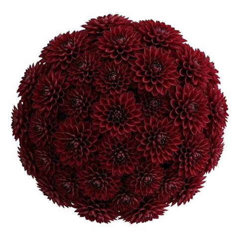 Bouquet of Luxury Red Dahlia