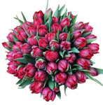 Bouquet of Luxury Red Double Tulips - Flowers Box London