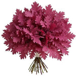 Bouquet of Magenta Quercus Leaves