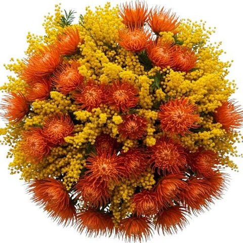 Bouquet of Mimosa and Leucospermum - Flowers Box London