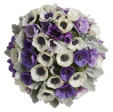 Bouquet of Mistral Rarity Anemone - Flowers Box London
