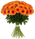 Bouquet of Orange Gerberas with Greenery