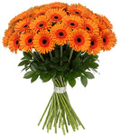 Bouquet of Orange Gerberas with Greenery - Flowers Box London