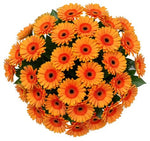 Bouquet of Orange Gerberas with Greenery