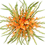 Bouquet of Orange Gladioli - Flowers Box London