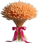 Bouquet of Orange Lagurus - Flowers Box London