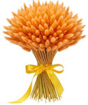 Bouquet of Orange Lagurus - Flowers Box London