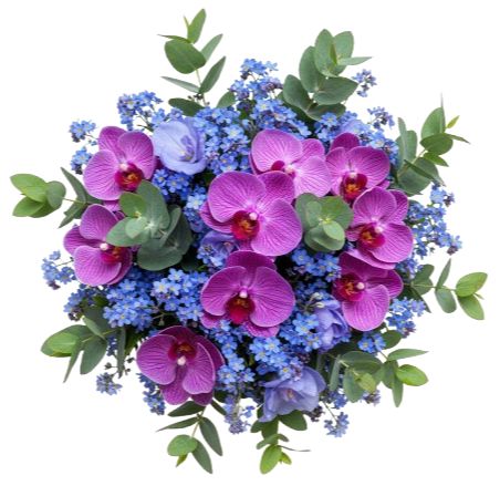 Bouquet of Phalaenopsis Orchids and Blue Forget Me Not
