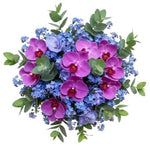 Bouquet of Phalaenopsis Orchids and Blue Forget Me Not - Flowers Box London