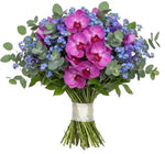 Bouquet of Phalaenopsis Orchids and Blue Forget Me Not - Flowers Box London