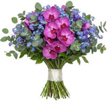 Bouquet of Phalaenopsis Orchids and Blue Forget Me Not - Flowers Box London