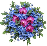 Bouquet of Phalaenopsis Orchids and Blue Forget Me Not - Flowers Box London