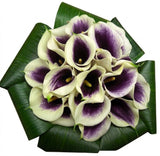 Bouquet of Picasso Calla Lily in Aspidistra Leaves - Flowers Box London