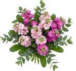 Bouquet of Pink and Cerise Stock with Eucalyptus