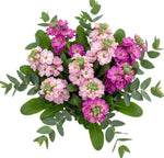 Bouquet of Pink and Cerise Stock with Eucalyptus