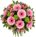 Bouquet of Pink Gerbera and Green Chrysanthemum