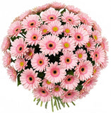 Bouquet of Pink Gerberas - Flowers Box London