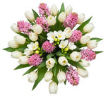 Bouquet of Pink Hyacinth and Tulips with Freesias
