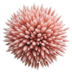 Bouquet of Pink Lagurus - Flowers Box London