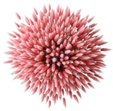 Bouquet of Pink Lagurus - Flowers Box London